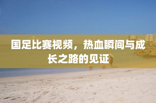 国足比赛视频，热血瞬间与成长之路的见证