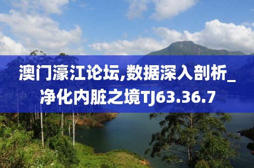 澳门濠江论坛,数据深入剖析_净化内脏之境TJ63.36.7