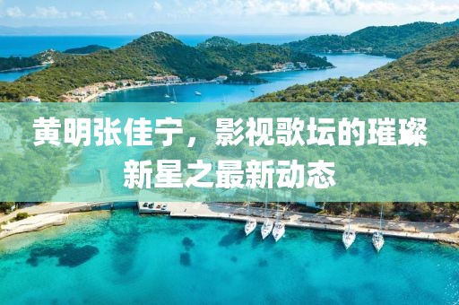 黄明张佳宁，影视歌坛的璀璨新星之最新动态