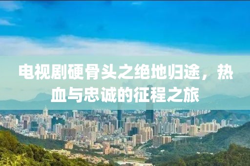 电视剧硬骨头之绝地归途，热血与忠诚的征程之旅