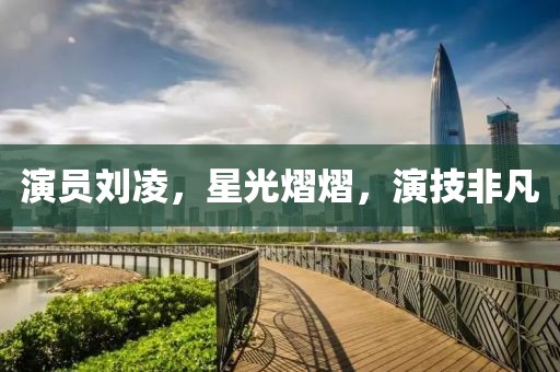 演员刘凌，星光熠熠，演技非凡