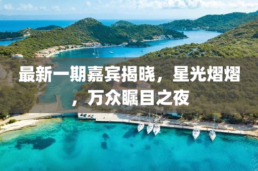 最新一期嘉宾揭晓，星光熠熠，万众瞩目之夜