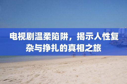 电视剧温柔陷阱，揭示人性复杂与挣扎的真相之旅