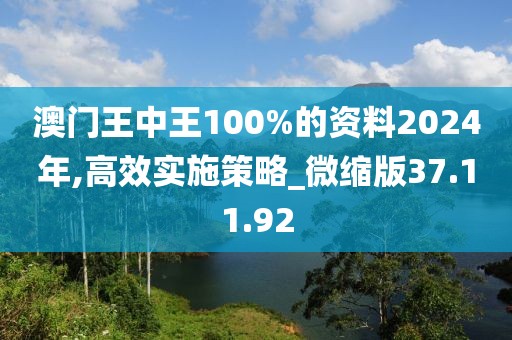 澳门王中王100%的资料2024年,高效实施策略_微缩版37.11.92