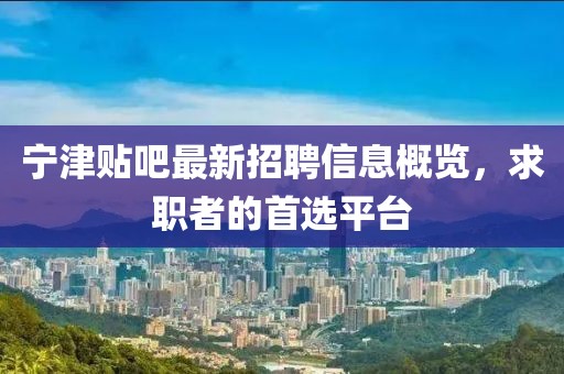宁津贴吧最新招聘信息概览，求职者的首选平台