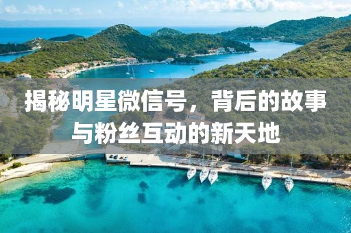 揭秘明星微信号，背后的故事与粉丝互动的新天地