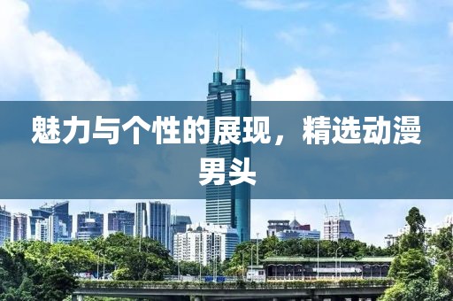 魅力与个性的展现，精选动漫男头