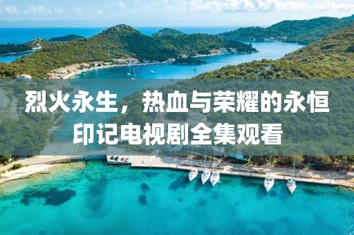 核心团队 第307页