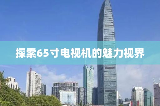 探索65寸电视机的魅力视界