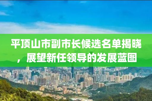 平顶山市副市长候选名单揭晓，展望新任领导的发展蓝图