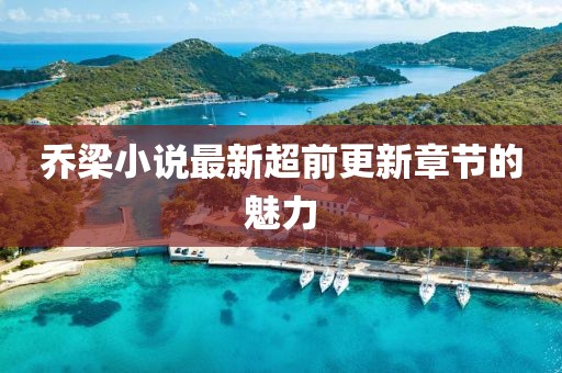 乔梁小说最新超前更新章节的魅力