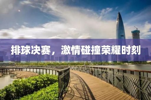 排球决赛，激情碰撞荣耀时刻