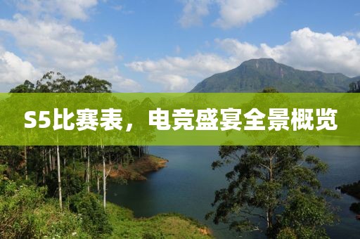 S5比赛表，电竞盛宴全景概览