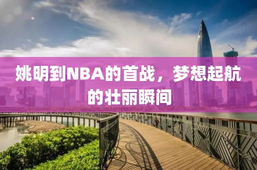 姚明到NBA的首战，梦想起航的壮丽瞬间