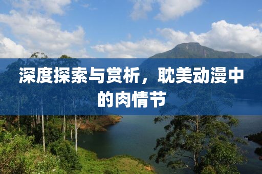 深度探索与赏析，耽美动漫中的肉情节