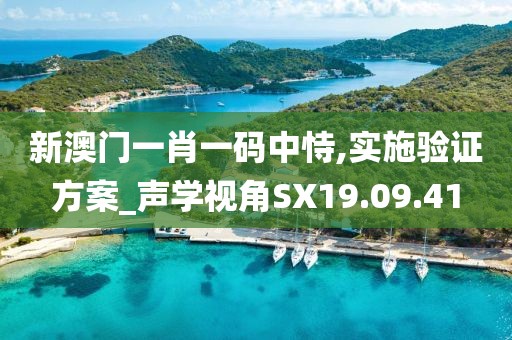 新澳门一肖一码中恃,实施验证方案_声学视角SX19.09.41