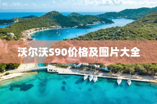 沃尔沃S90价格及图片大全