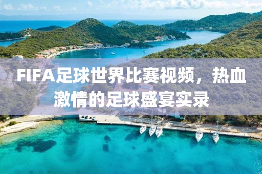 FIFA足球世界比赛视频，热血激情的足球盛宴实录