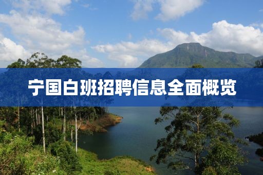 宁国白班招聘信息全面概览