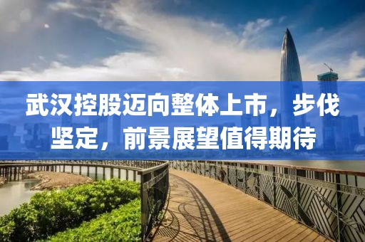 武汉控股迈向整体上市，步伐坚定，前景展望值得期待