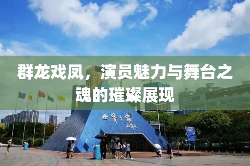 群龙戏凤，演员魅力与舞台之魂的璀璨展现