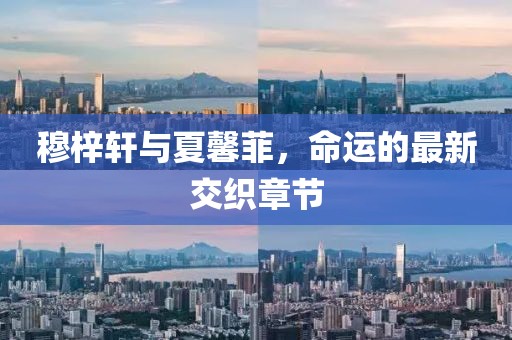 穆梓轩与夏馨菲，命运的最新交织章节