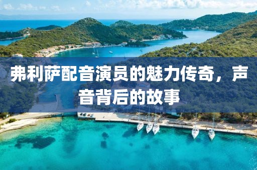 弗利萨配音演员的魅力传奇，声音背后的故事