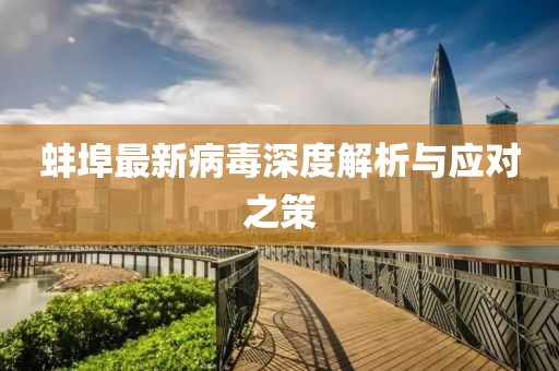 蚌埠最新病毒深度解析与应对之策