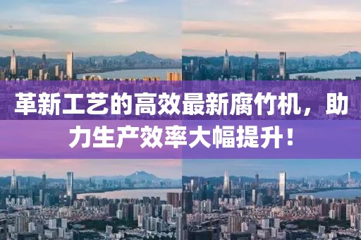 革新工艺的高效最新腐竹机，助力生产效率大幅提升！