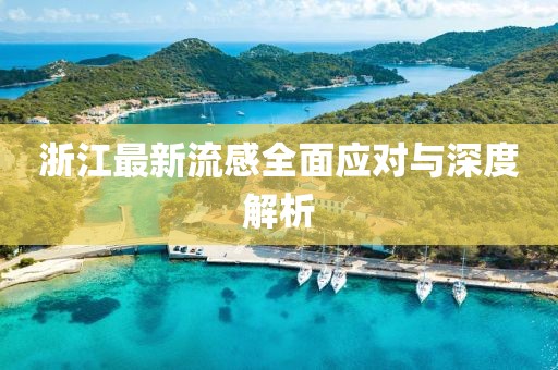 浙江最新流感全面应对与深度解析
