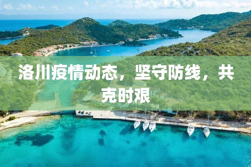 洛川疫情动态，坚守防线，共克时艰