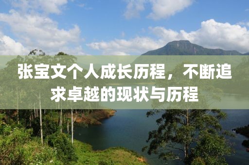 张宝文个人成长历程，不断追求卓越的现状与历程