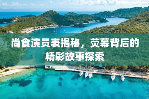 尚食演员表揭秘，荧幕背后的精彩故事探索