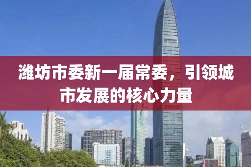 潍坊市委新一届常委，引领城市发展的核心力量