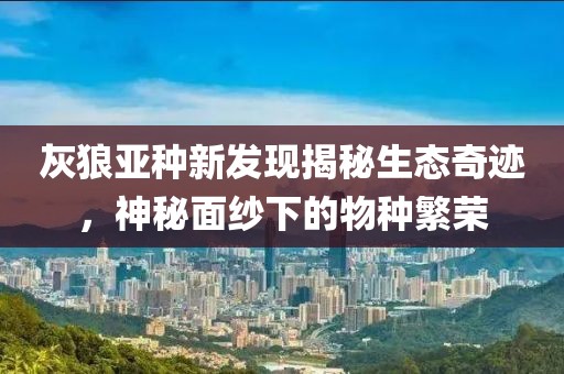 灰狼亚种新发现揭秘生态奇迹，神秘面纱下的物种繁荣