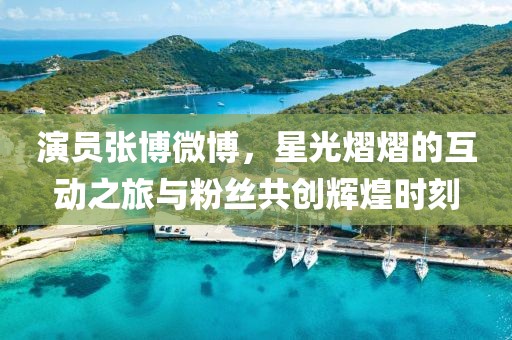 演员张博微博，星光熠熠的互动之旅与粉丝共创辉煌时刻