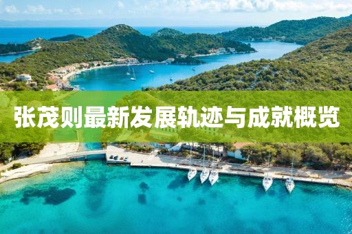 张茂则最新发展轨迹与成就概览