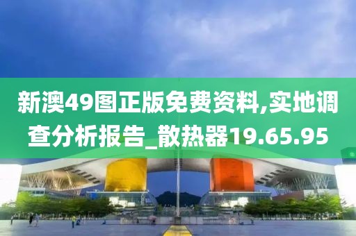 新澳49图正版免费资料,实地调查分析报告_散热器19.65.95
