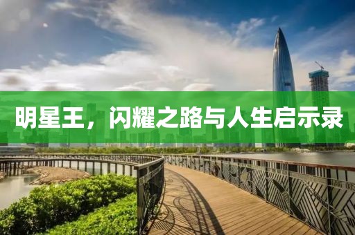 明星王，闪耀之路与人生启示录