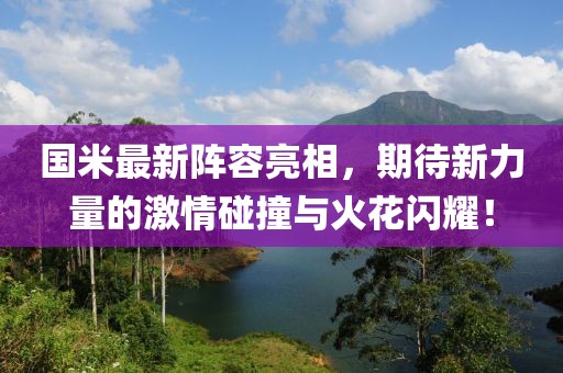 国米最新阵容亮相，期待新力量的激情碰撞与火花闪耀！