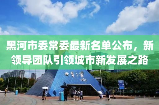 黑河市委常委最新名单公布，新领导团队引领城市新发展之路