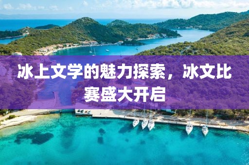 冰上文学的魅力探索，冰文比赛盛大开启