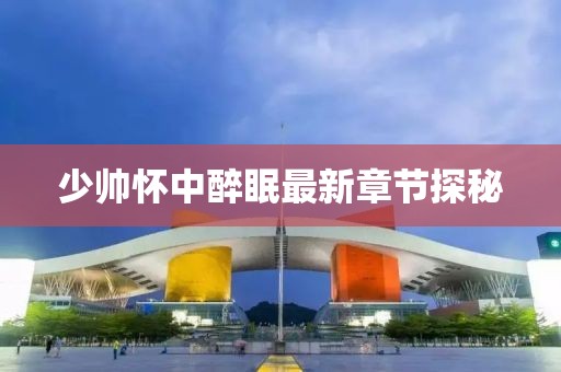 少帅怀中醉眠最新章节探秘