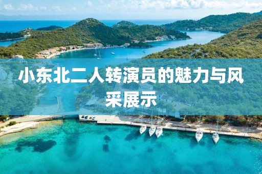 小东北二人转演员的魅力与风采展示