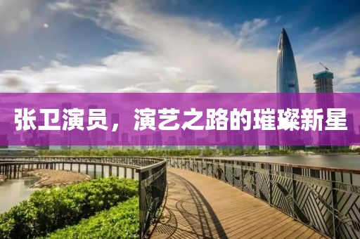 张卫演员，演艺之路的璀璨新星