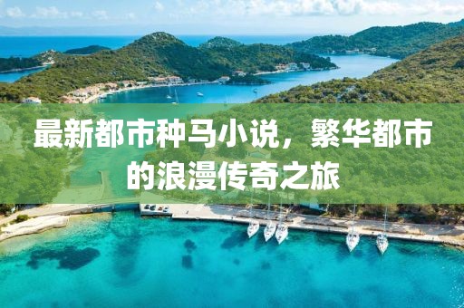 最新都市种马小说，繁华都市的浪漫传奇之旅