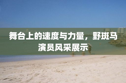 舞台上的速度与力量，野斑马演员风采展示