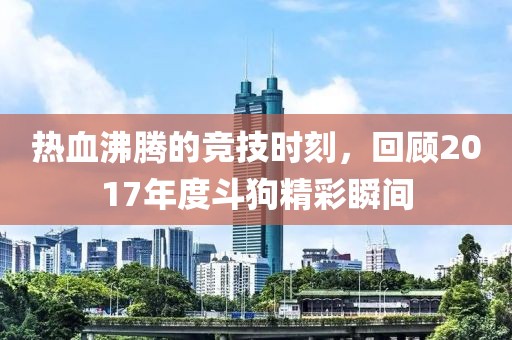 热血沸腾的竞技时刻，回顾2017年度斗狗精彩瞬间