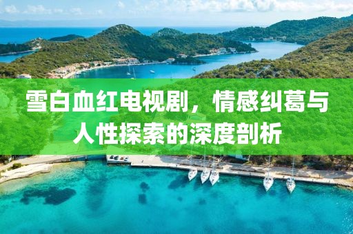 雪白血红电视剧，情感纠葛与人性探索的深度剖析