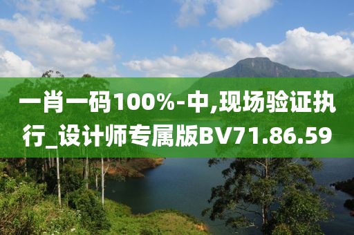 一肖一码100%-中,现场验证执行_设计师专属版BV71.86.59